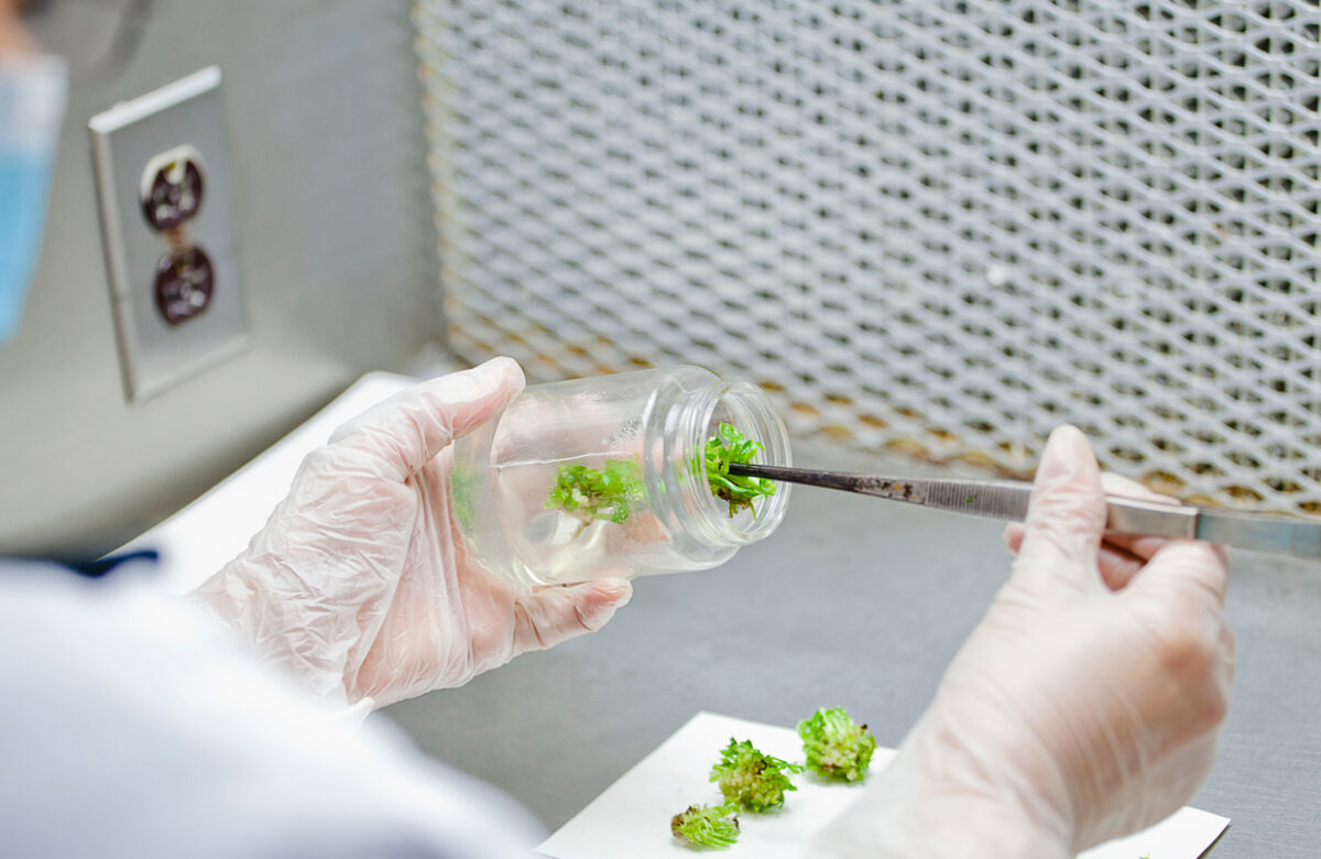 Costa Rica albergará evento de negocios del sector de biotecnología