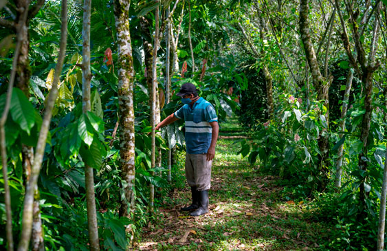 Costa Rica entre finalistas para premio por protección de ambiente creado por príncipe William
