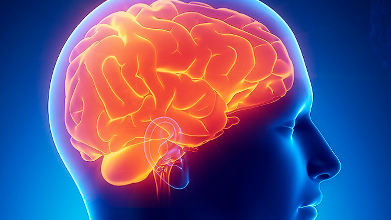 Terapia génica con «dedos de cinc» puede ayudar a tratar la enfermedad de Alzheimer, según estudio