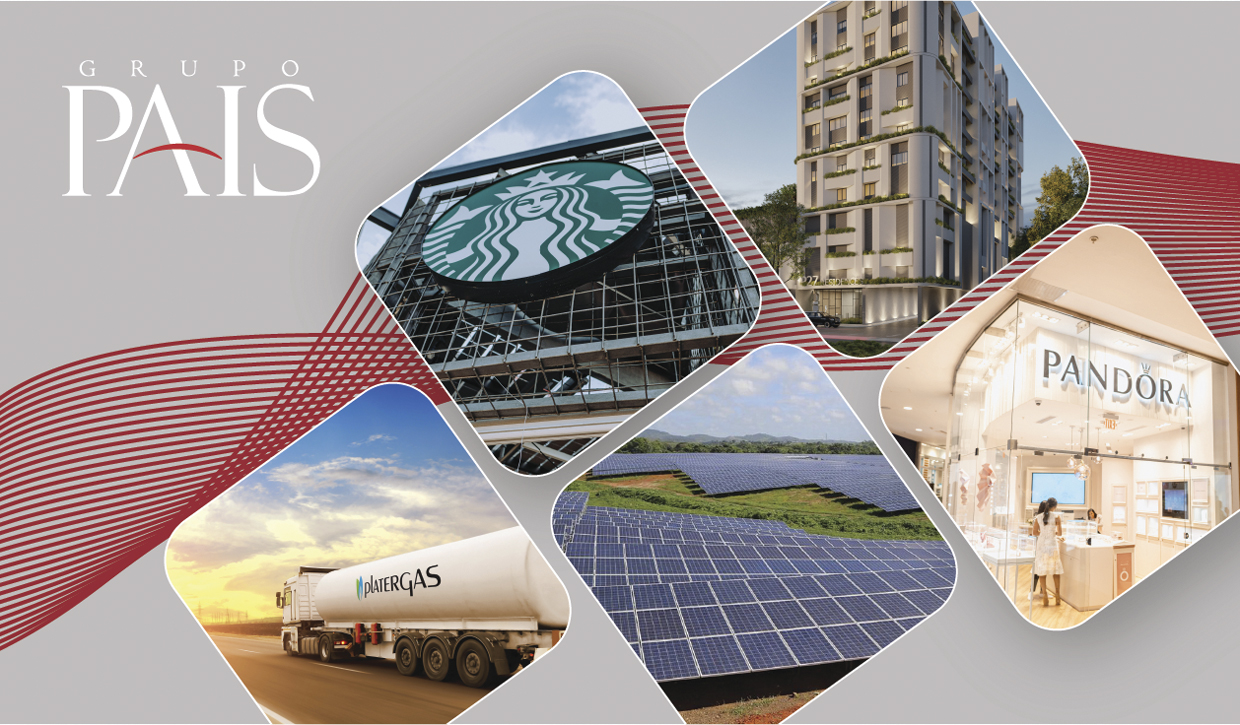 GRUPO PAIS, Diversificación como clave del éxito