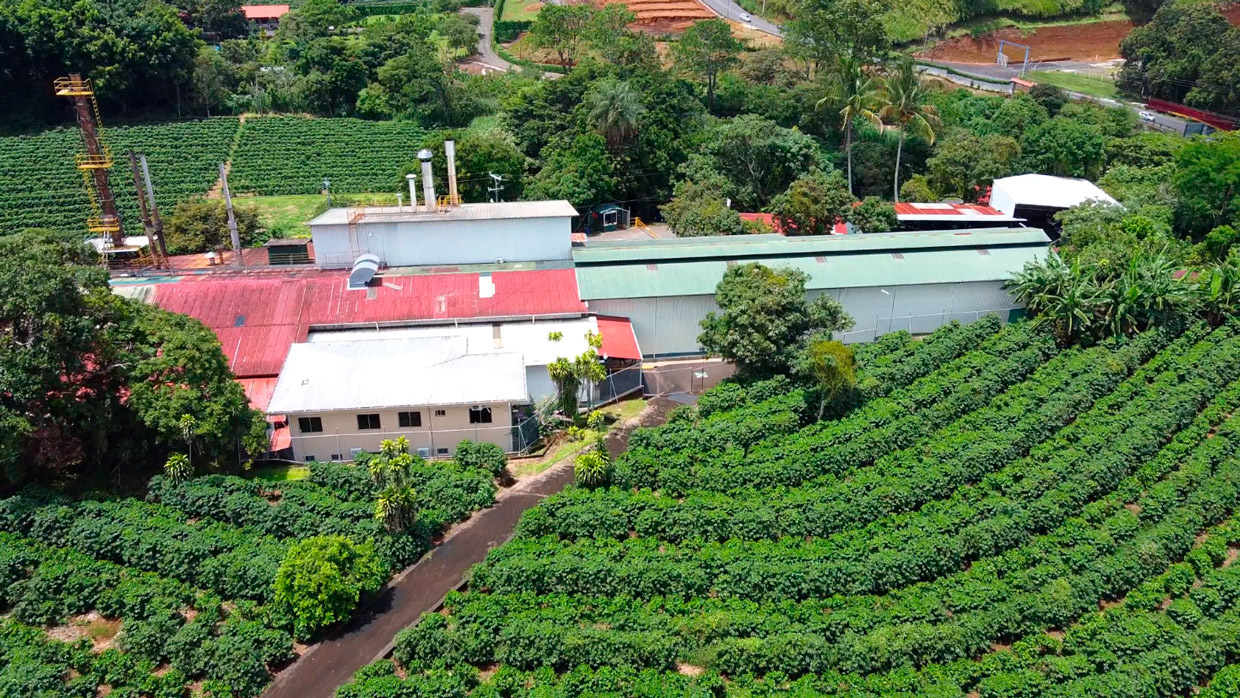 Distribuidora Café Montaña obtiene prestigiosa certificación internacional