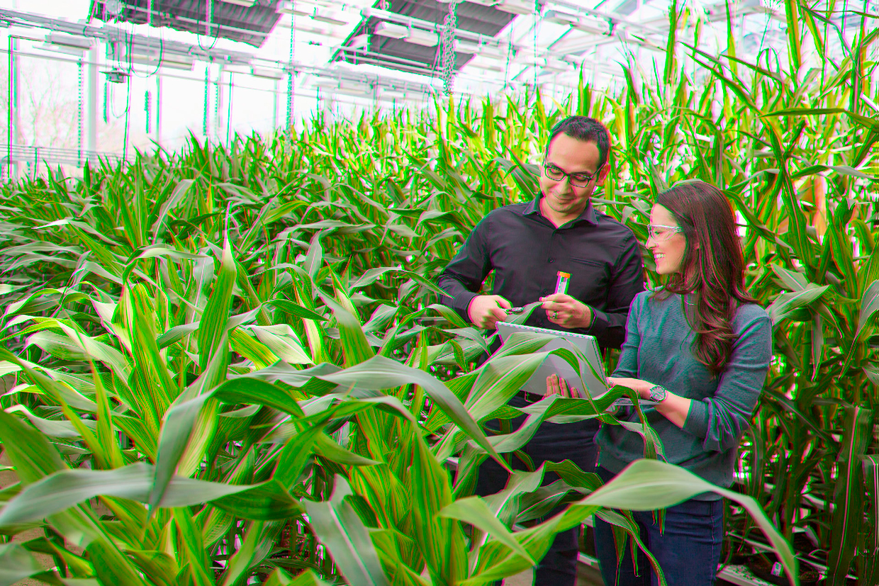 Bayer premiará a investigadores por sus innovaciones en agricultura en Costa Rica