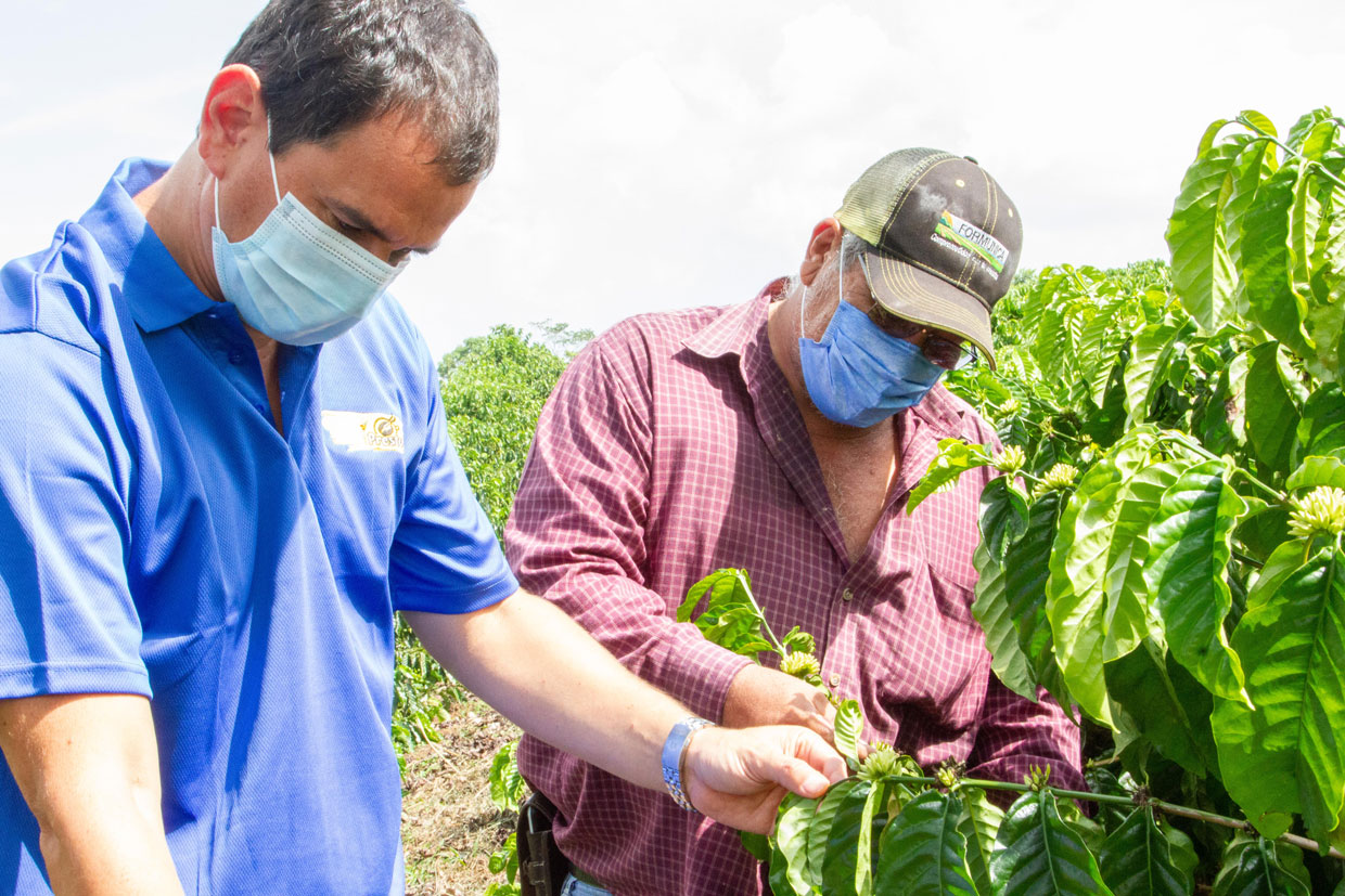 Café Presto de Nestlé remarca su compromiso con el desarrollo de la caficultura nicaragüense en el Día Internacional del Café