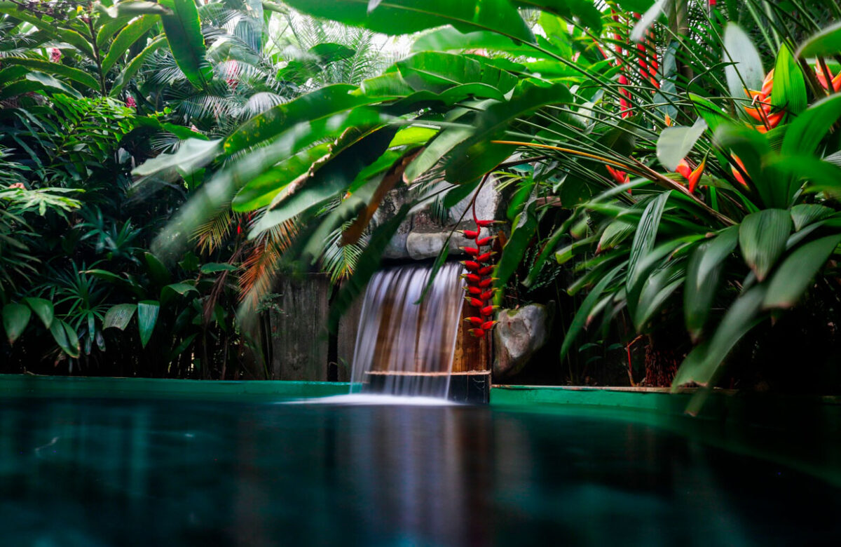 Costa Rica: Manantiales de La Fortuna destacan por sus propiedades terapéuticas