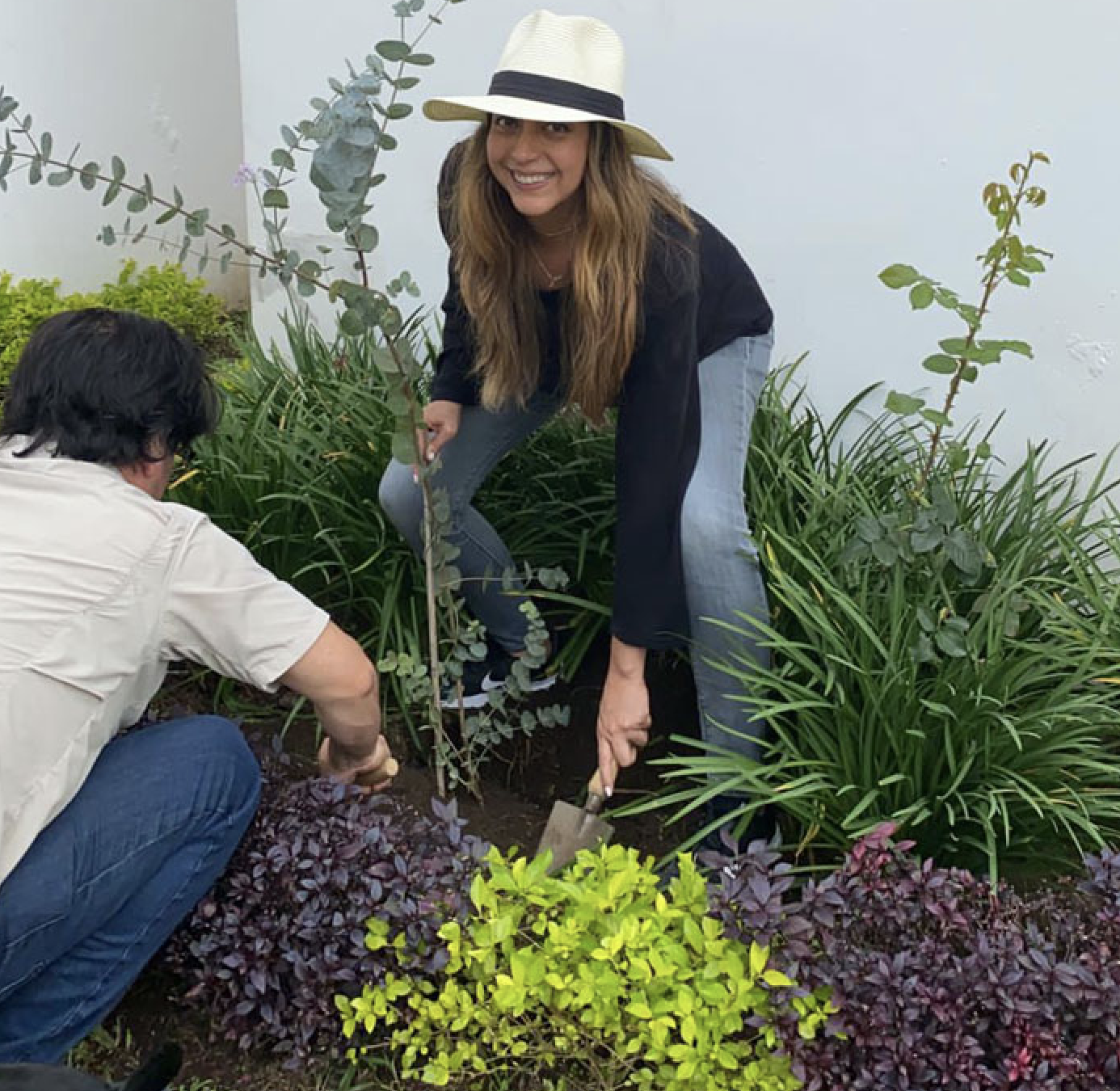 Banco Promerica Guatemala responsable con el medio ambiente