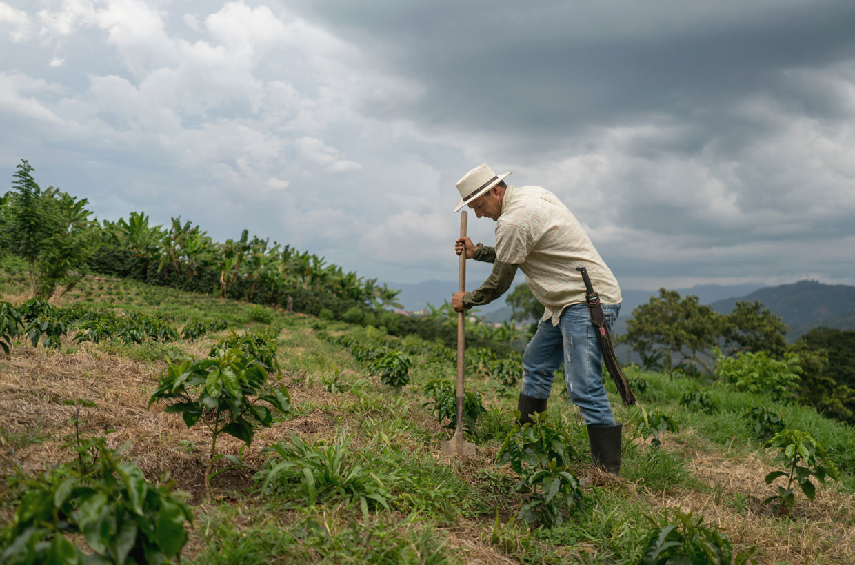 ¿Por qué es importante que en Nicaragua se desarrollen proyectos de reforestación?