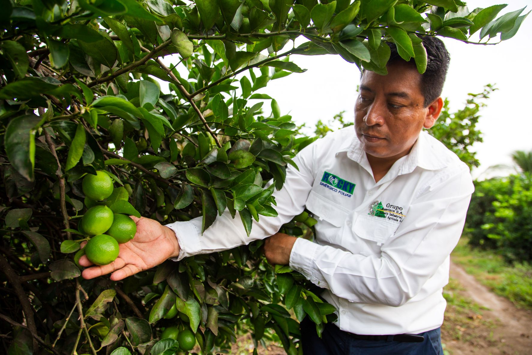 Grupo Aserinca, proveedor de Walmart, un ejemplo de perseverancia en el campo guatemalteco