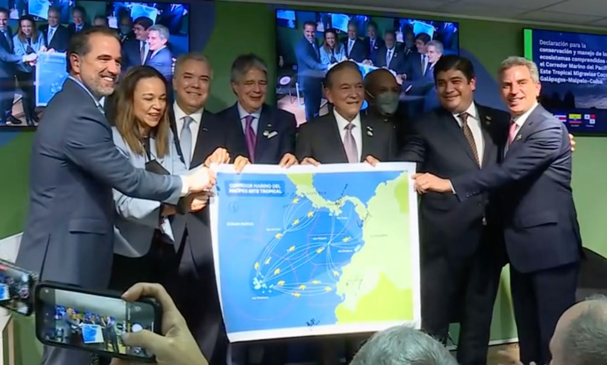 CAF aportará US$ 1 millón para proteger el Corredor Marino del Pacífico Este Tropical