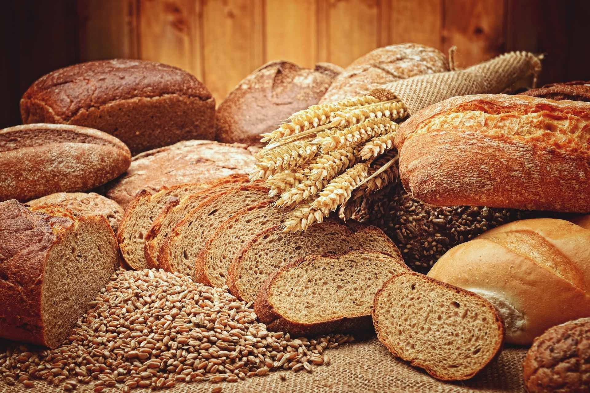 ¿Cuál es la importancia del pan?