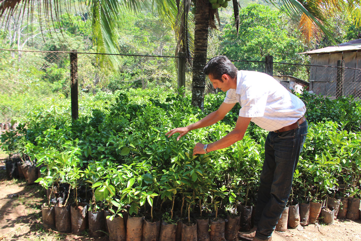 Costa Rica participa en la creación de herramienta tecnológica para enfrentar cambio climático para la agricultura