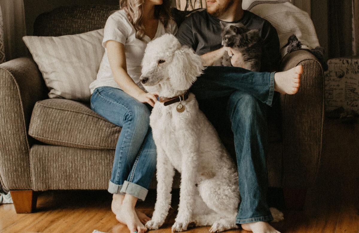 Atención veterinaria más cara: menos visitas pero muchas cirugías de US$11.000