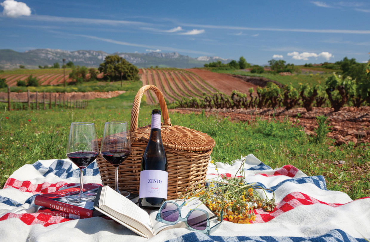 Tu Vino,  Pasión por el vino