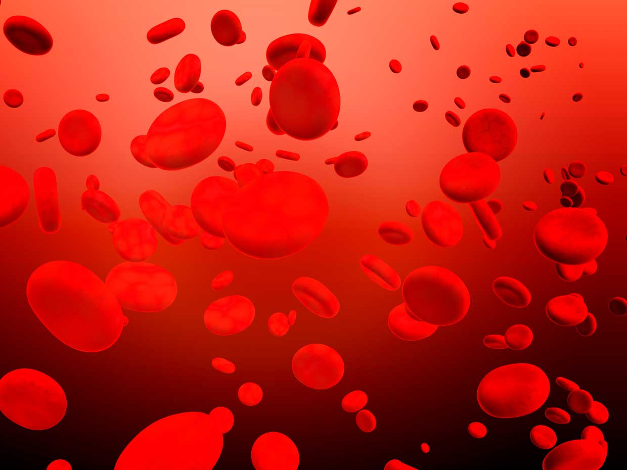 Detección temprana: la clave para promover un mejor crecimiento y desarrollo infantil