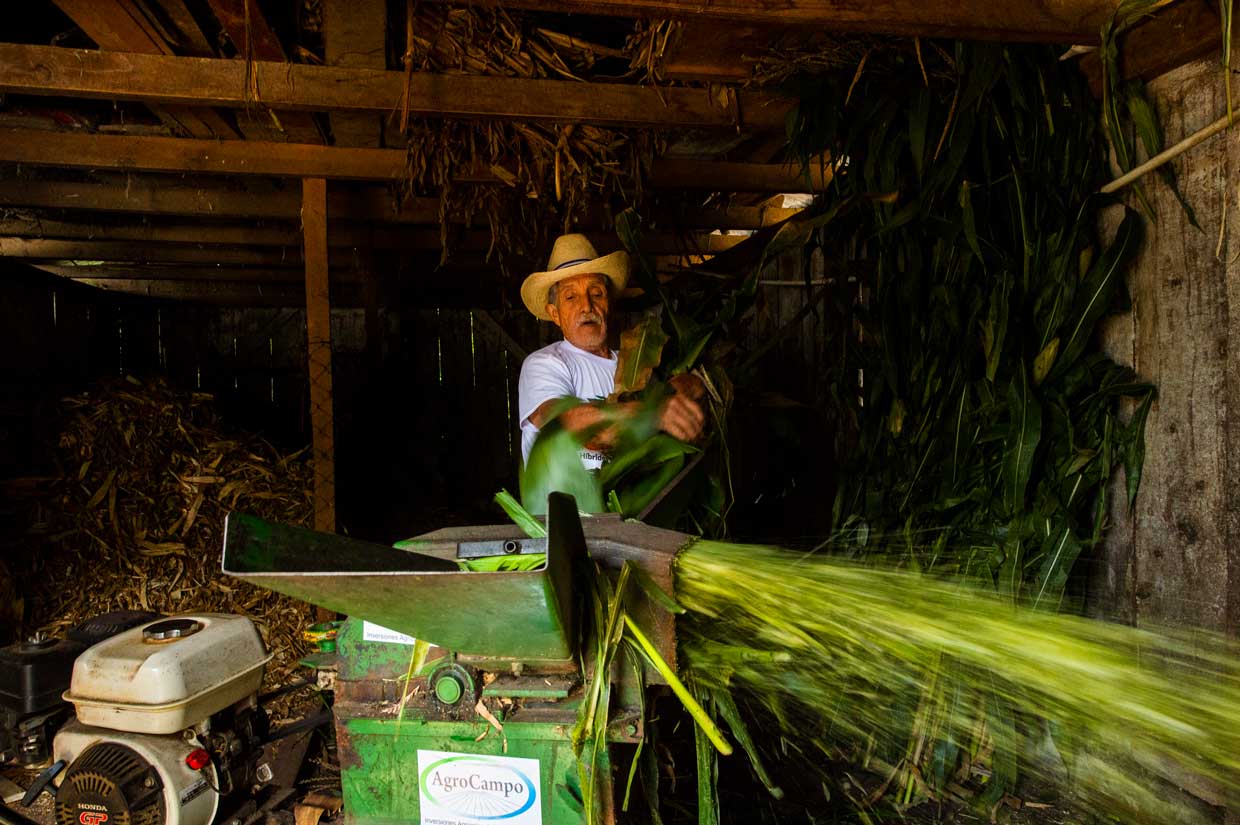 Buscan incorporar a más de 100.000 pequeños agricultores guatemaltecos a la agricultura moderna
