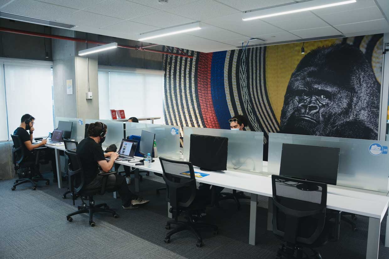 Gorilla Logic ampliará su equipo laboral de Costa Rica en un 22%