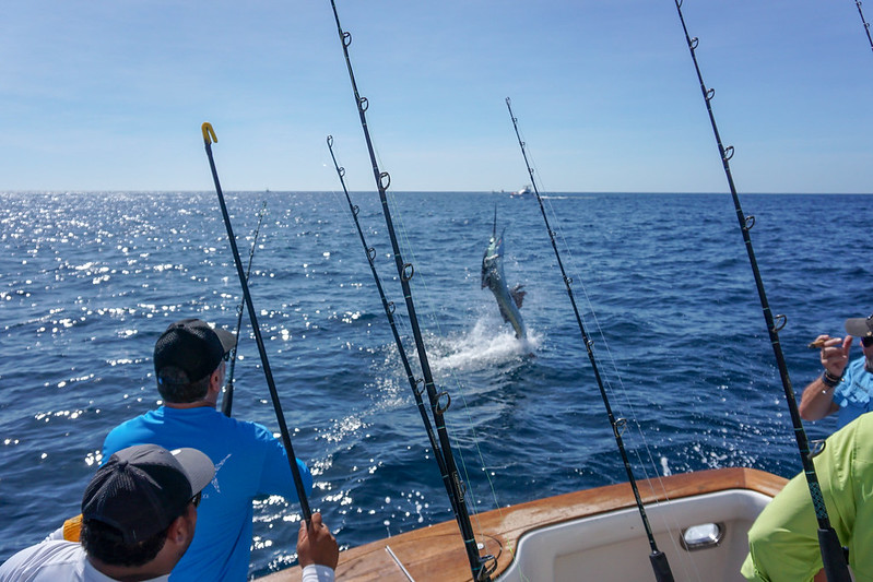 Costa Rica: Torneo Mundial de Pesca deportiva en Quepos busca promover la práctica responsable