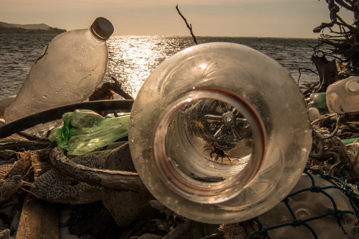 Evitemos que el plástico desechable se multiplique este verano