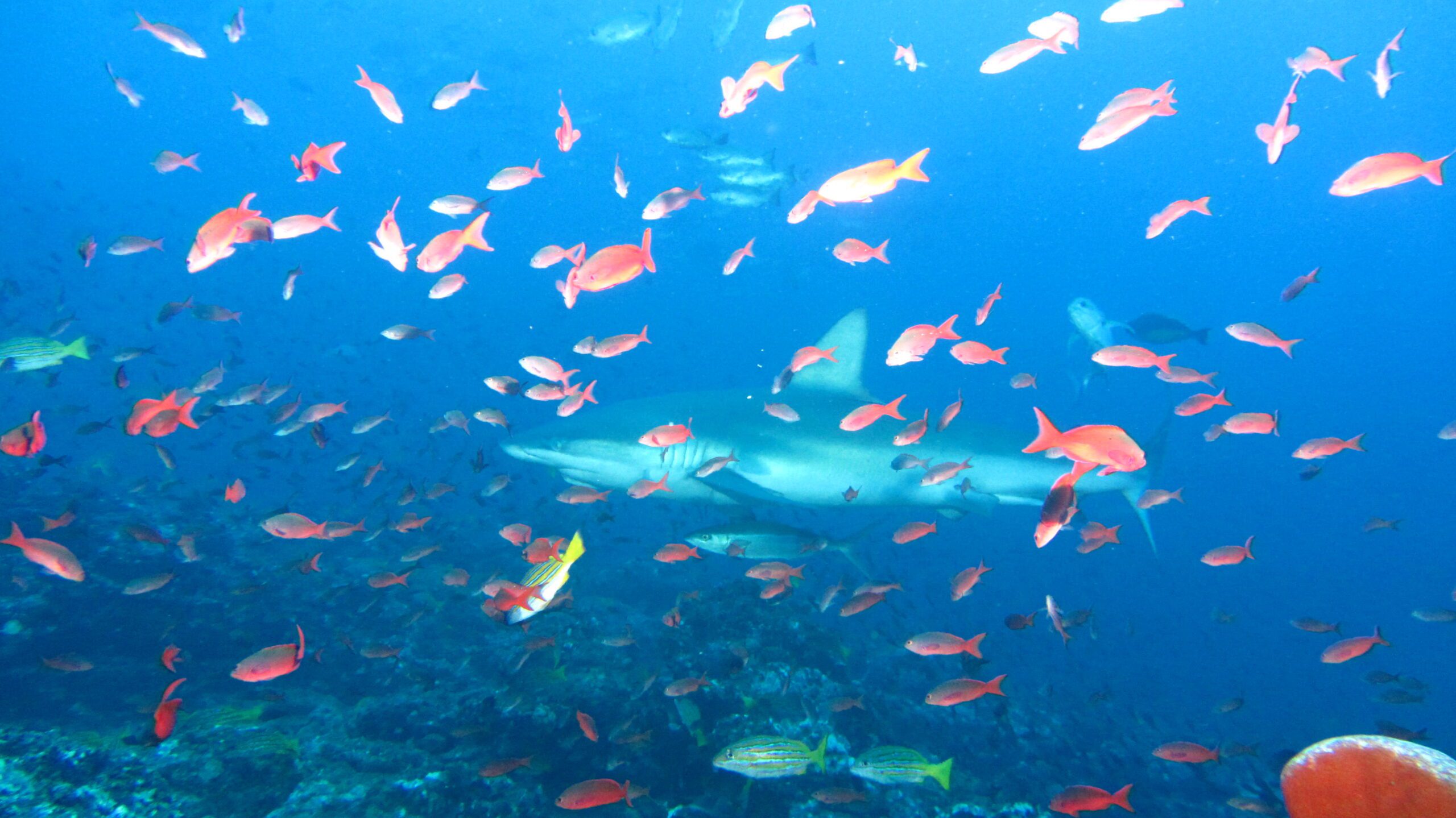 Aumento del nivel del mar y acidificación reafirman urgencia de acciones a favor de los océanos