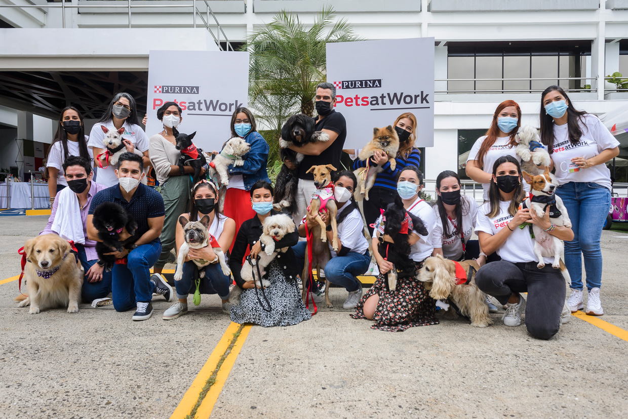 Los colaboradores de Nestlé en Panamá llevan sus mascotas a la oficina con el programa “Pets at Work” de Purina