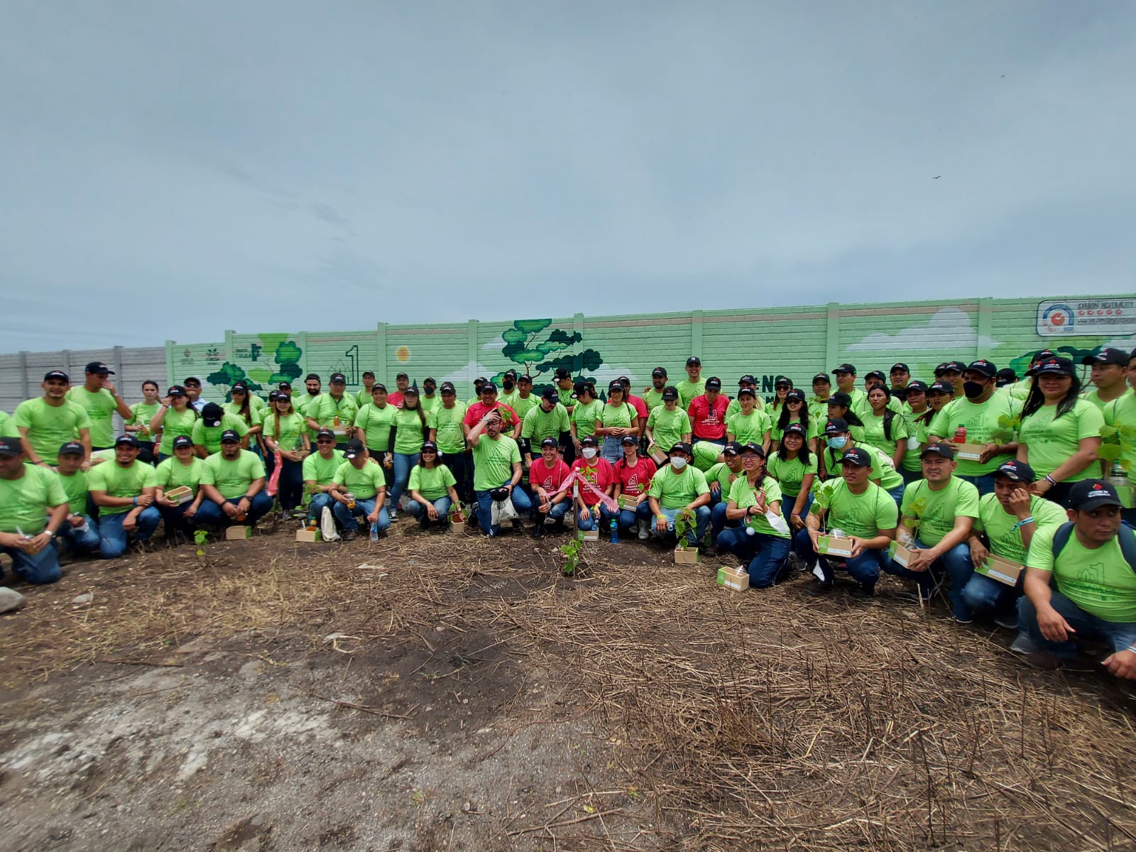 Licores de Guatemala realiza su primera jornada de reforestación