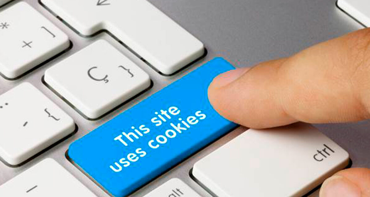 Cookies,  sepa para qué sirven y cómo evitar dejar tantas “migajas” mientras navega por internet