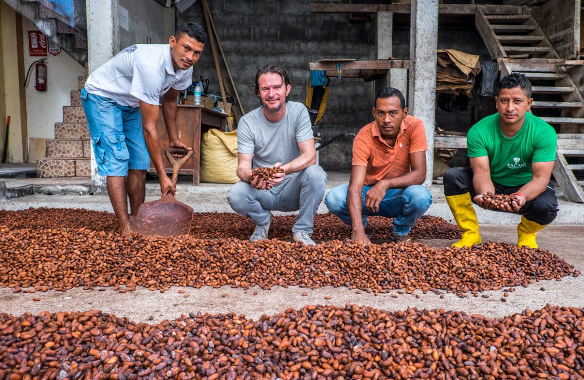 El cacao ecuatoriano, una historia de resiliencia y desarrollo social
