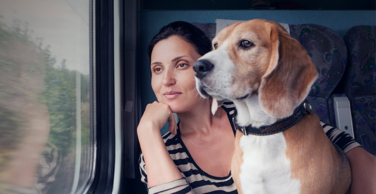 21 de julio: Día Mundial del Perro