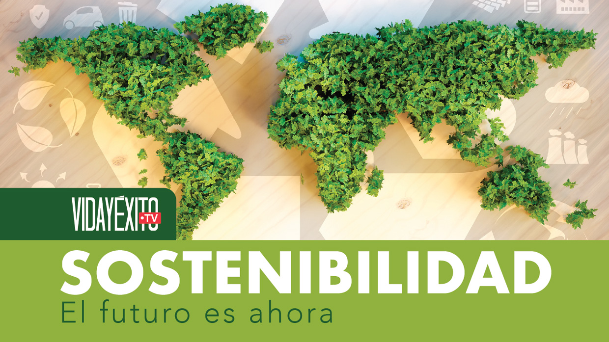 Sostenibilidad: El futuro es ahora