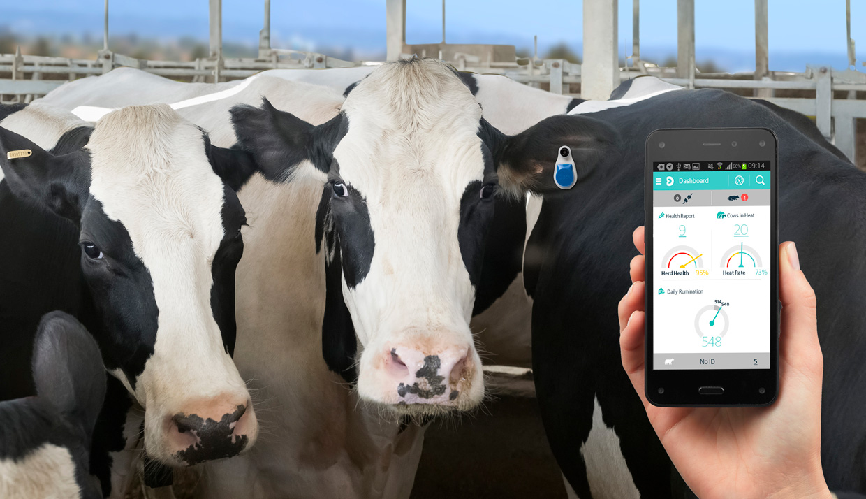 Tecnología inteligente de primer nivel se une al sector ganadero para beneficiar la salud animal y la producción