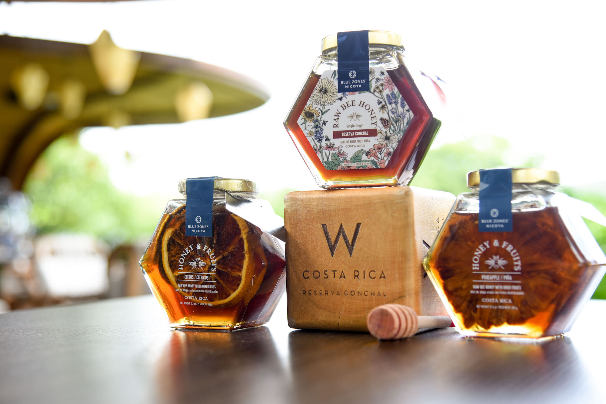 W Costa Rica Reserva Conchal estrena su primer Marriott Bonvoy Moments a través de una experiencia con abejas