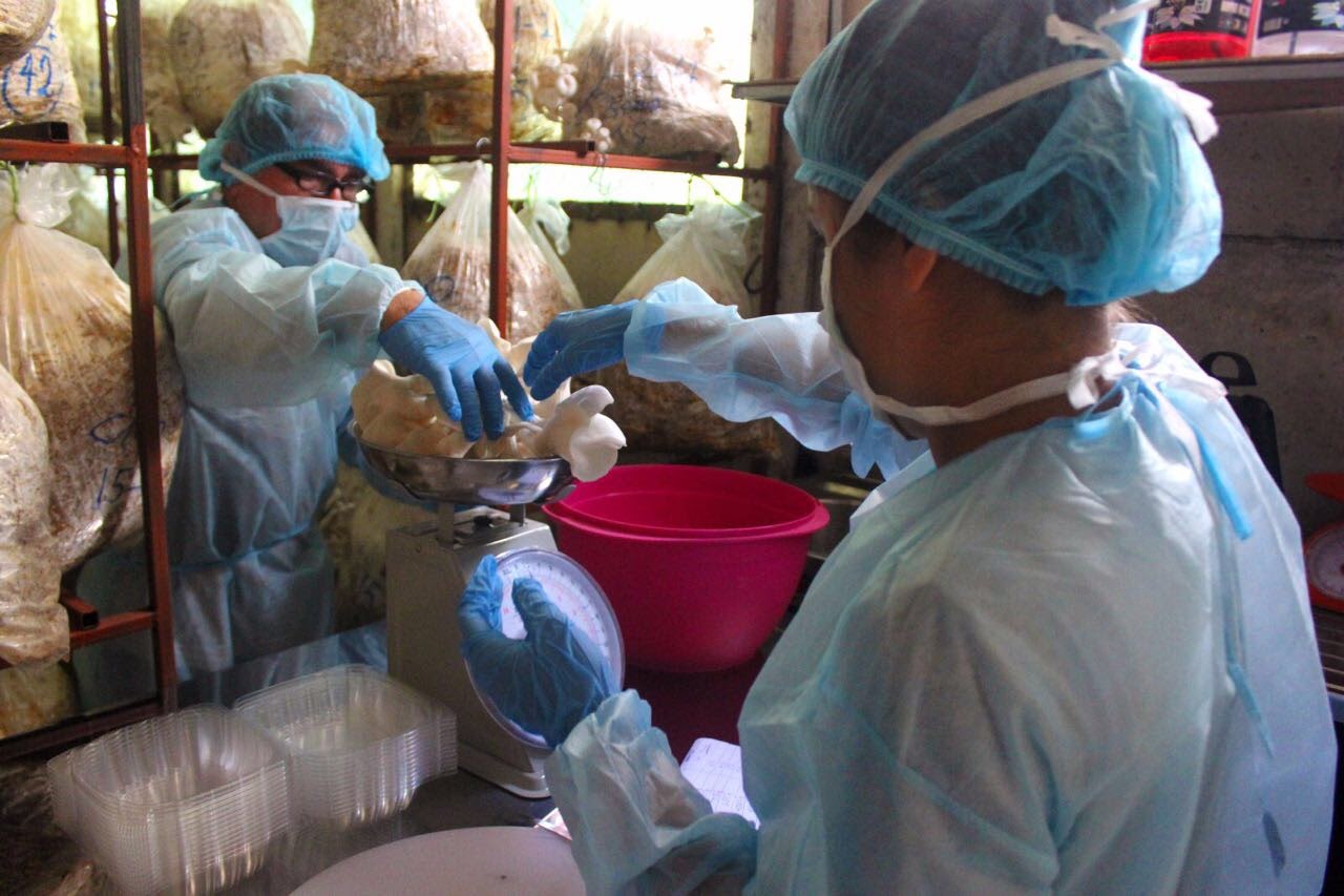 134 mujeres productoras agropecuarias de Costa Rica han sido capacitadas para ser agentes de cambio