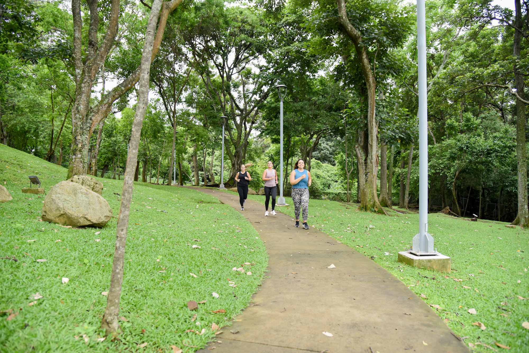 ¿Cómo pueden las ciudades impactar positivamente la salud mental de sus habitantes?
