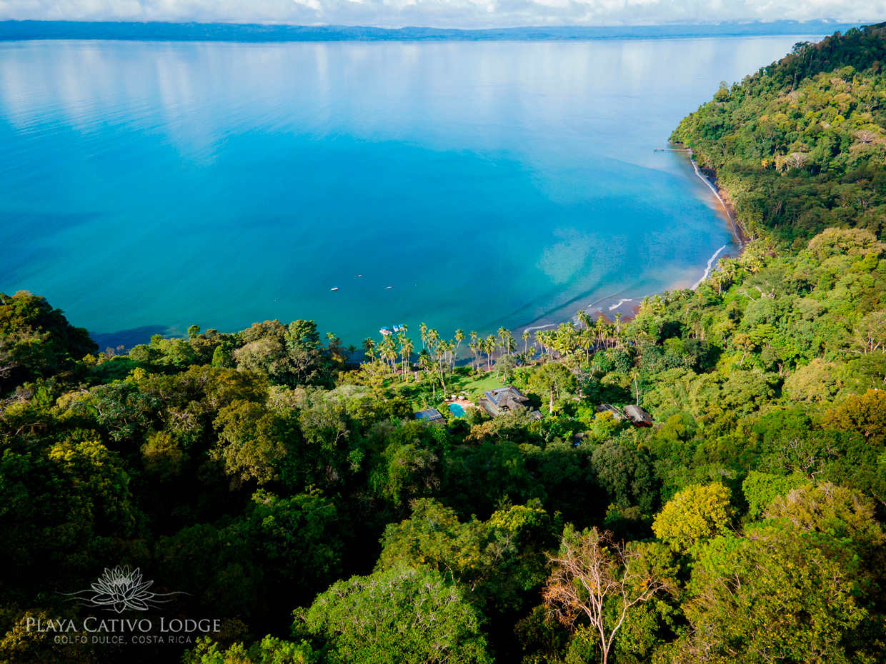 Golfo Dulce: un paradisiaco lugar que mezcla el mar y el rainforest  para dar experiencias únicas los visitantes