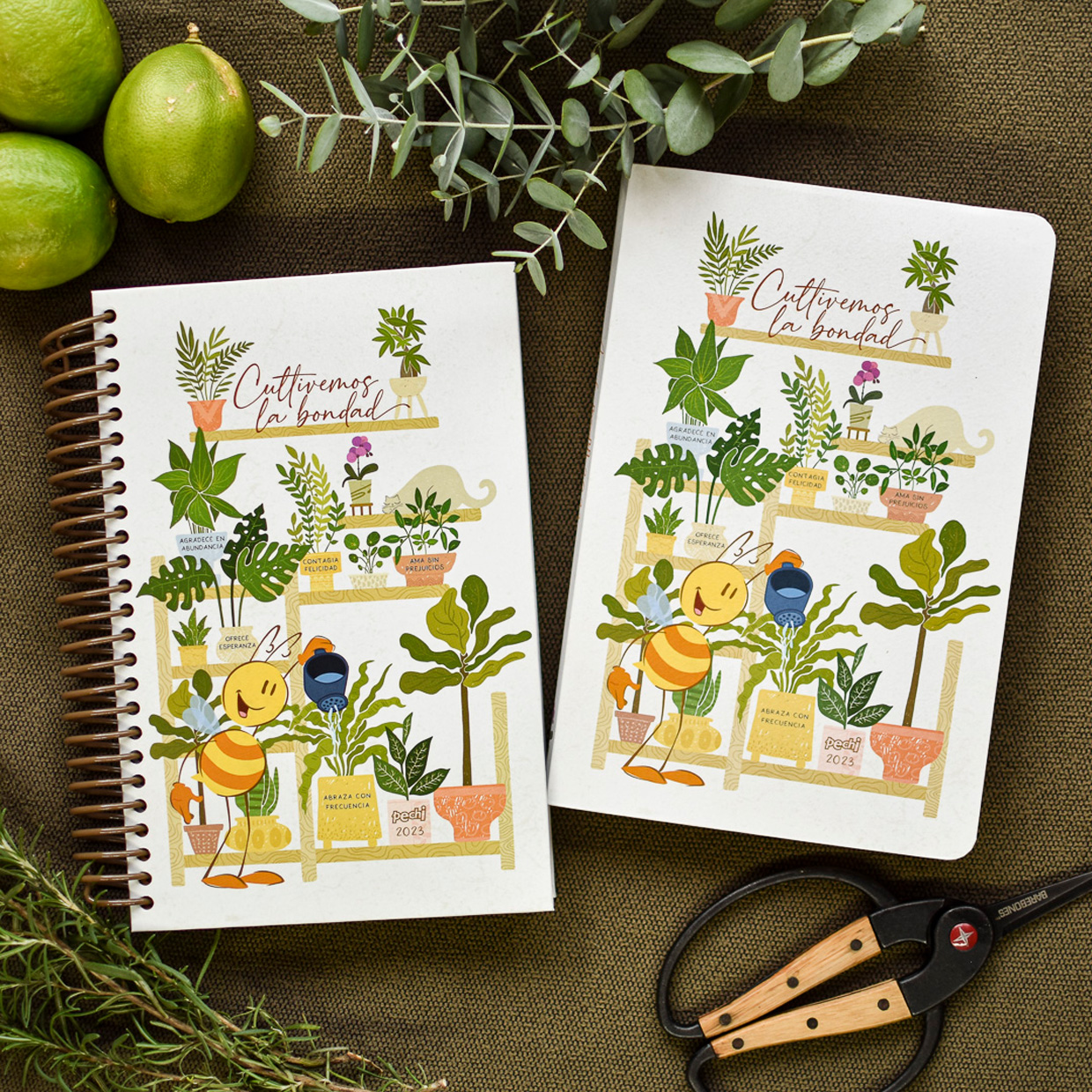 ¡Pechi la marca con propósito celebra 25 años!