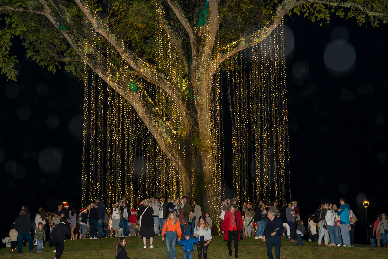 Llegó la época de compartir: Experimente un sinfín de actividades en La Ruta Navideña 2022 de Portafolio Inmobiliario