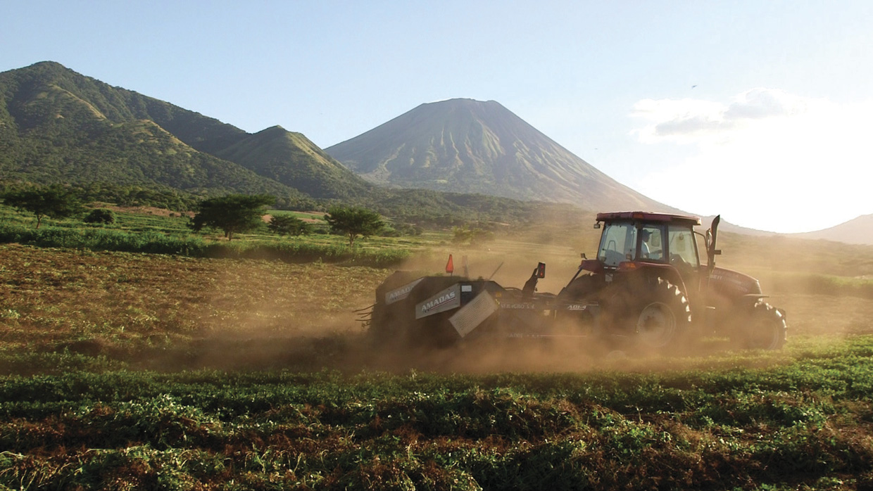 Comasa, Cuarenta años produciendo Maní