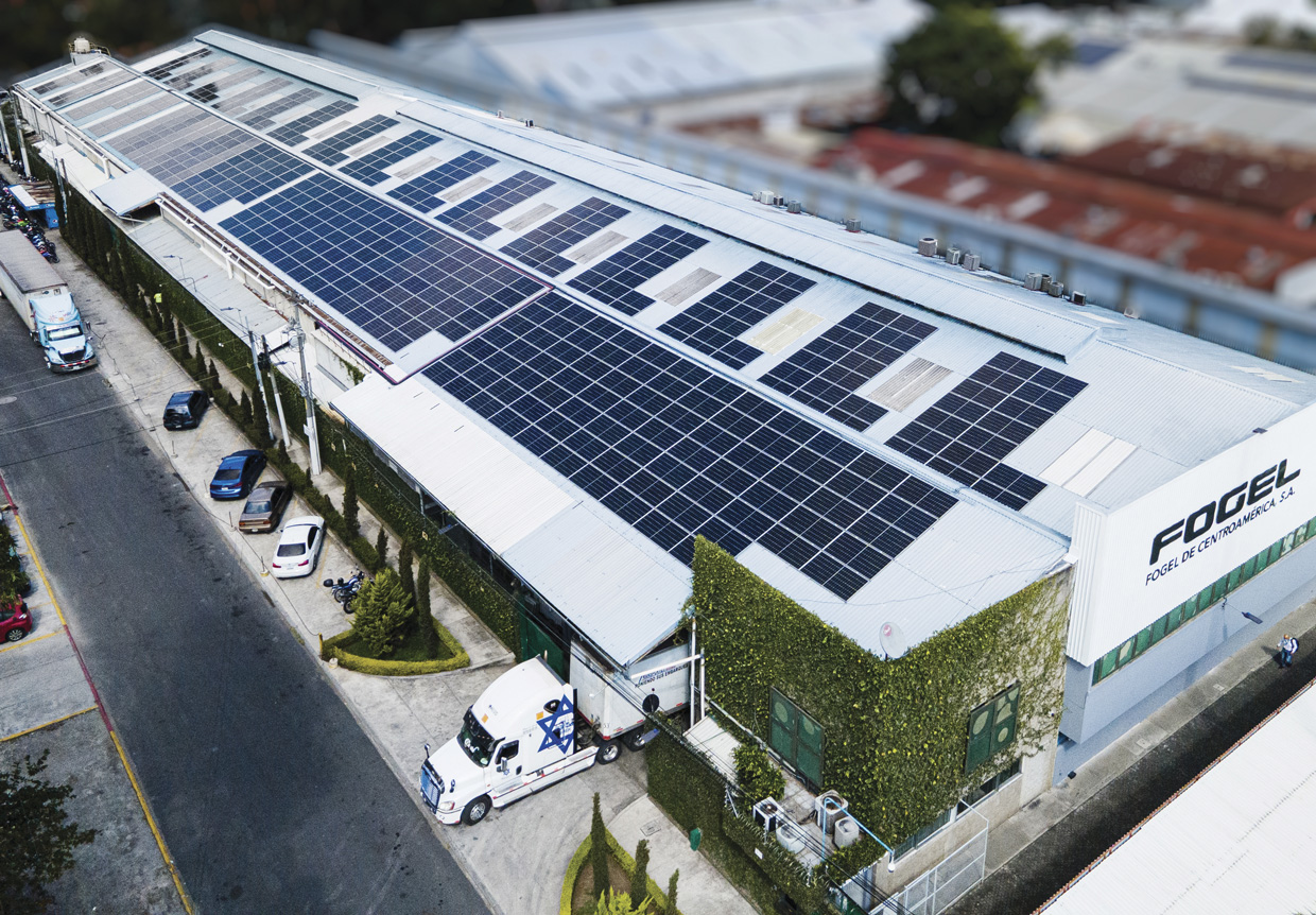 Fogel, Logra año récord y fortalece presencia en el mercado