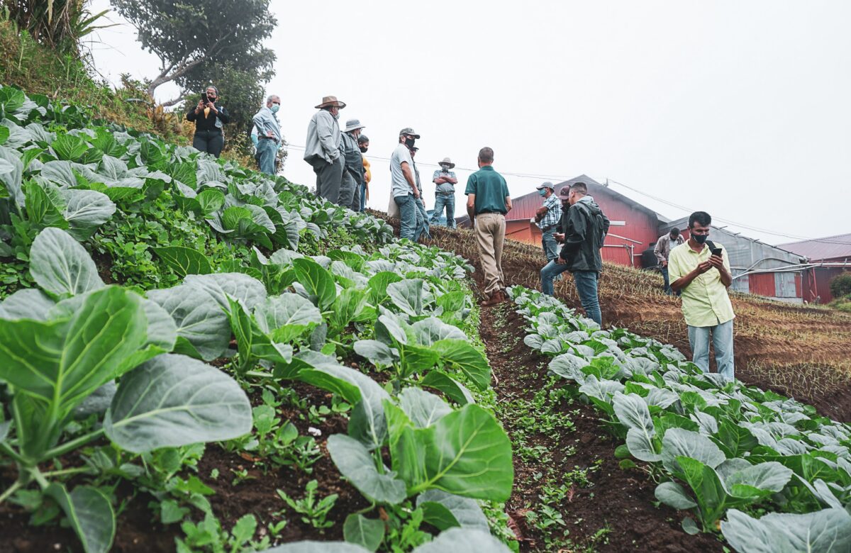 Universidad EARTH anuncia la próxima fase del programa para empoderar a agricultores de Costa Rica y Guatemala