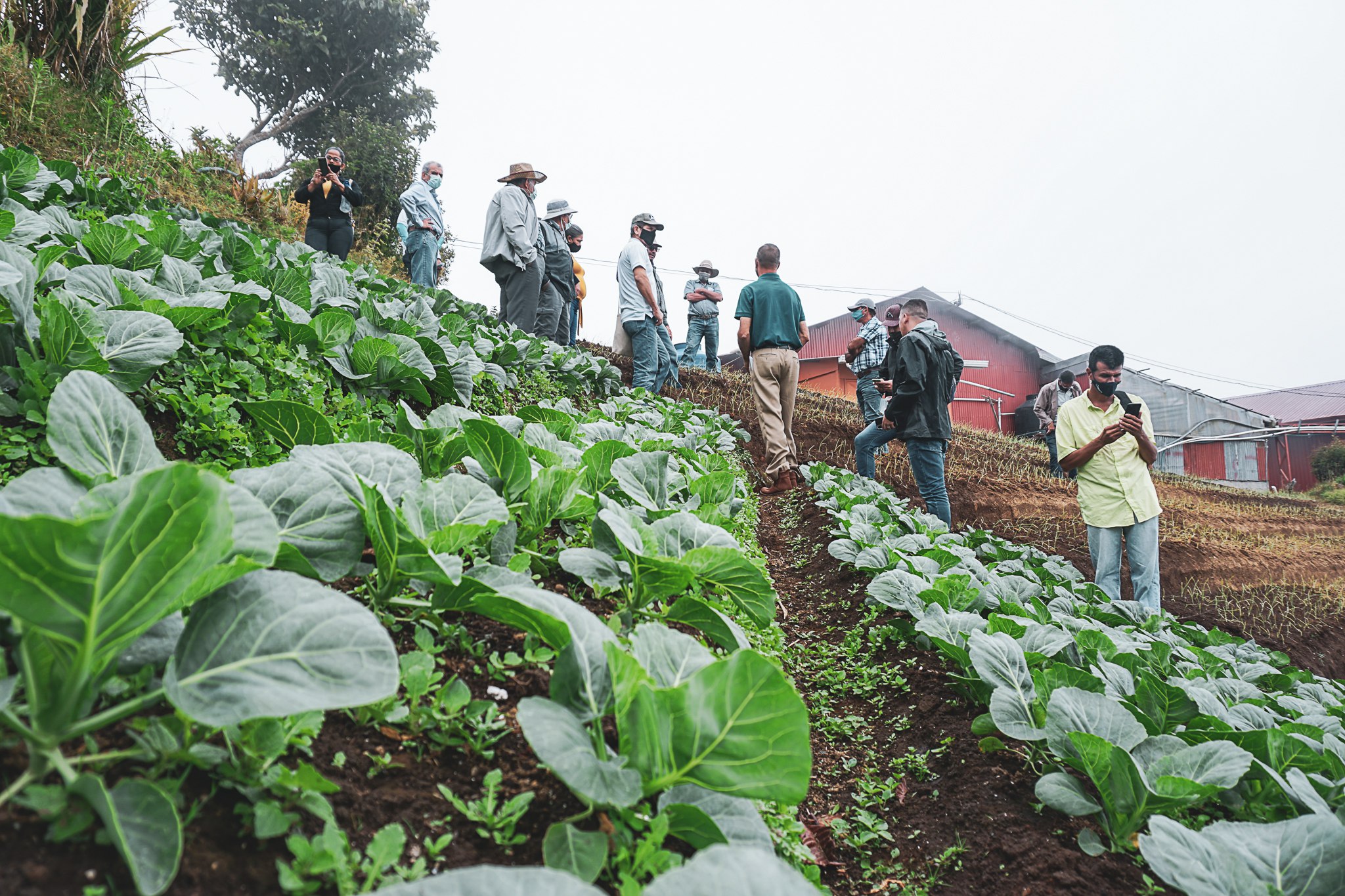 Universidad EARTH anuncia la próxima fase del programa para empoderar a agricultores de Costa Rica y Guatemala