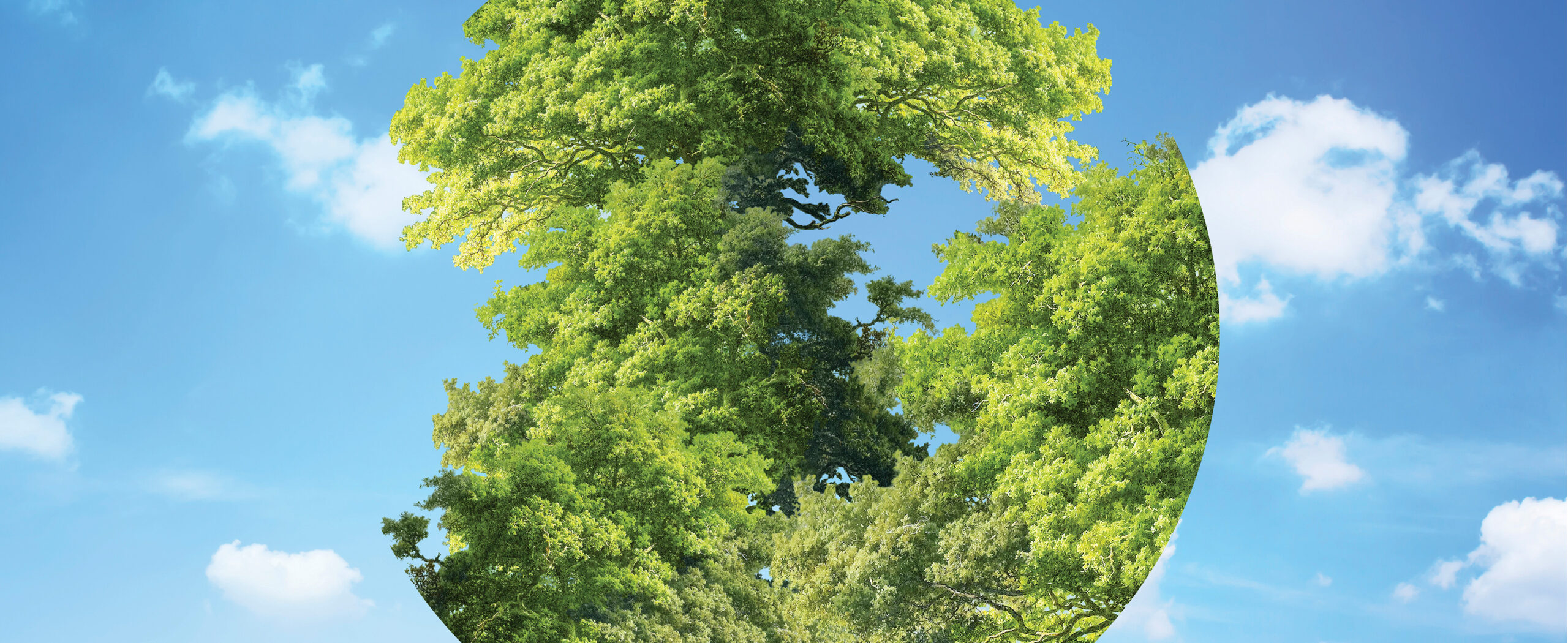 Sostenibilidad y RSE claves para la supervivencia