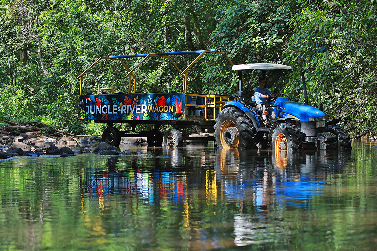 Villa Lapas celebrará a los niños con expedición Jurásica