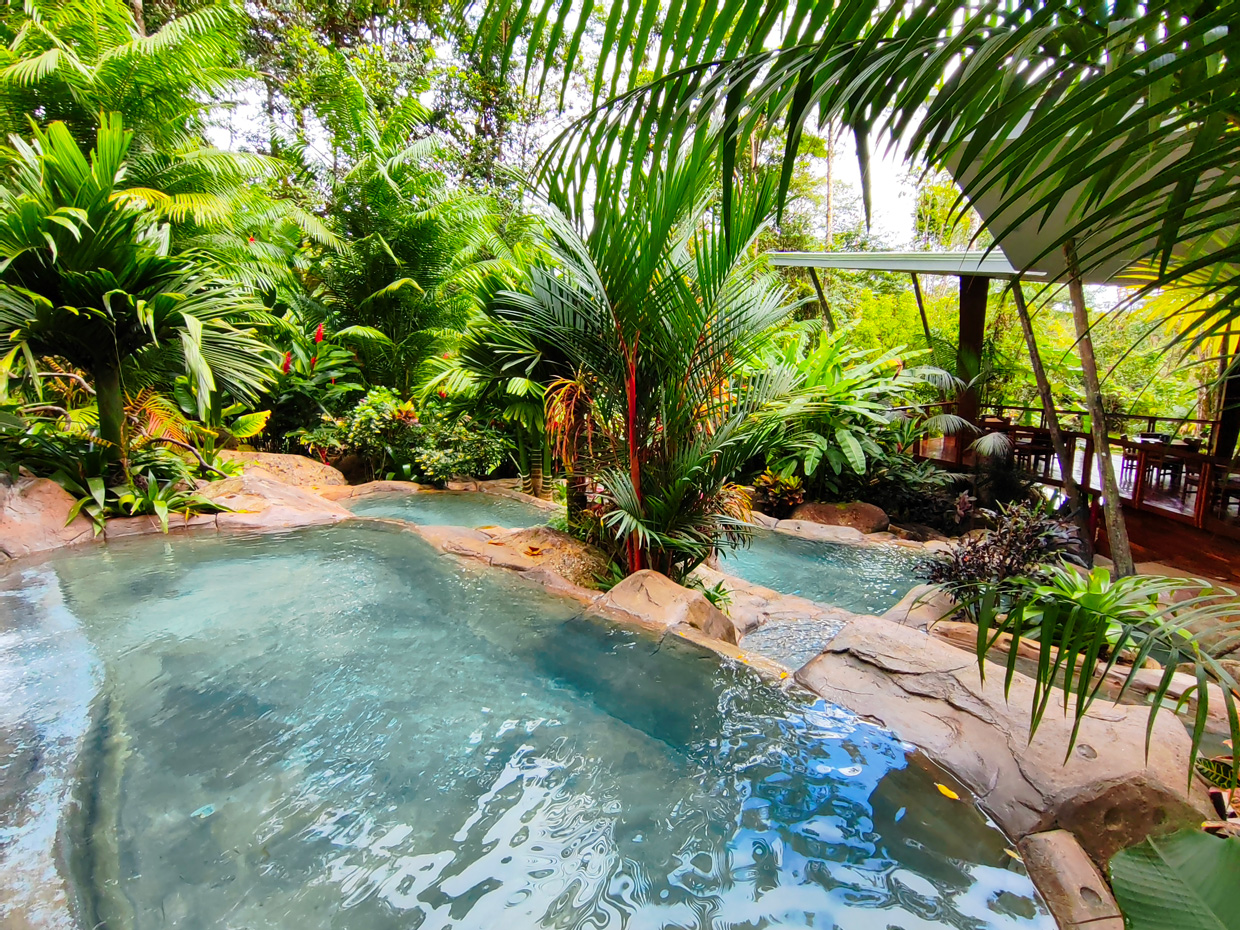 Naturaleza, gastronomía y confort en Chachagua Rainforest & Hot Springs