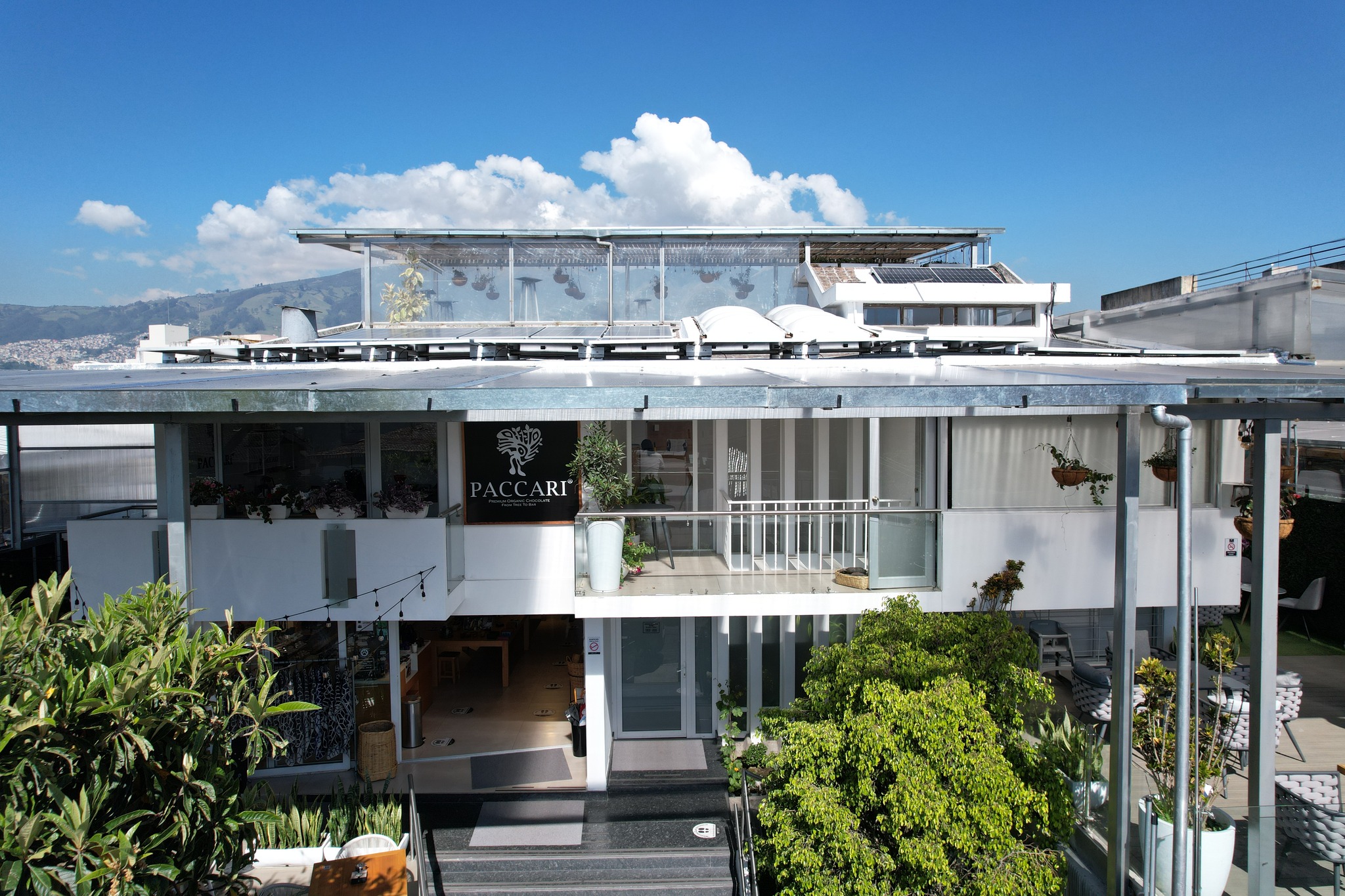 Paccari alcanza el estado de Carbono Neutralidad y reitera su compromiso con la medición, reducción y compensación de huella en sus prácticas corporativas