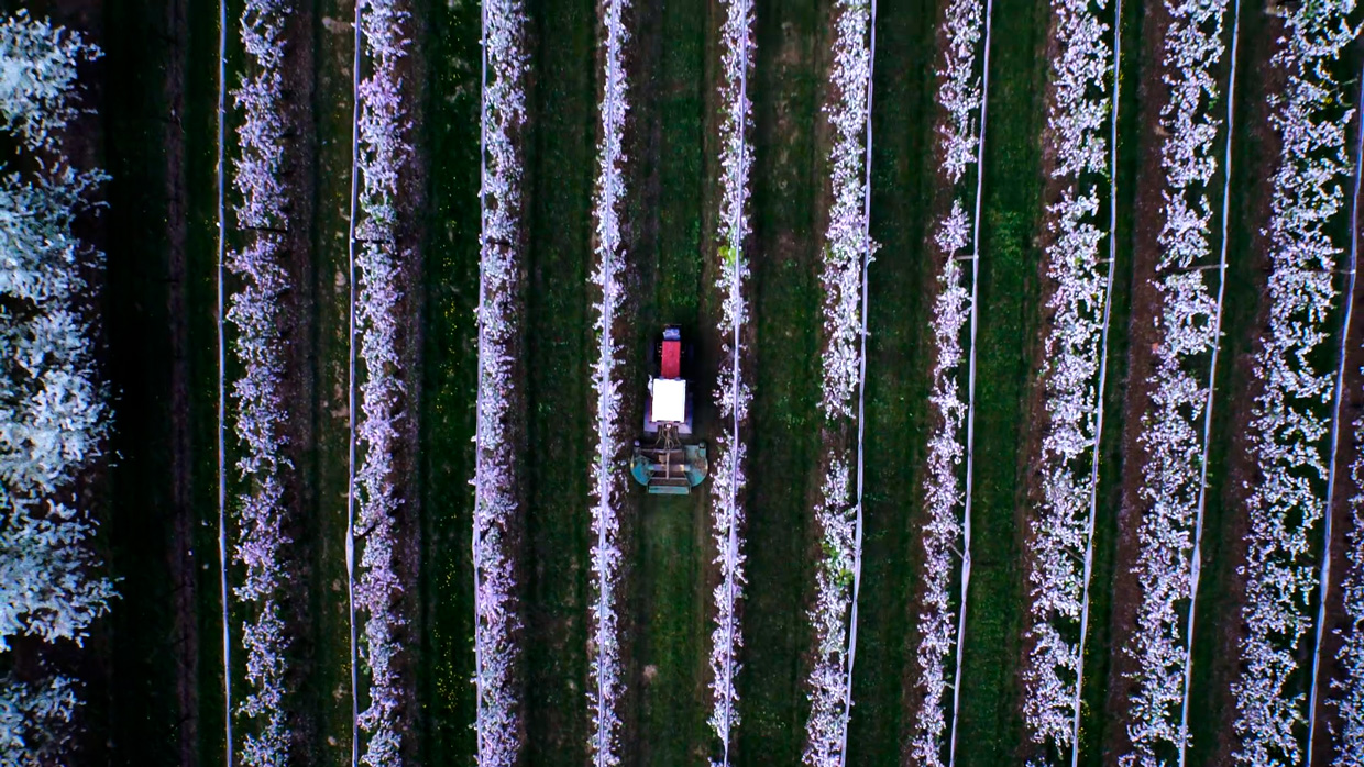 «No hay rentabilidad sin sostenibilidad»