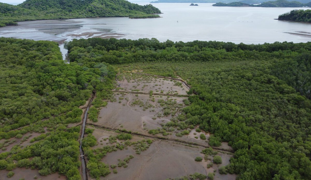 Davivienda recibe premio de GIZ por su compromiso económico en comunidades aledañas a ecosistemas de manglar