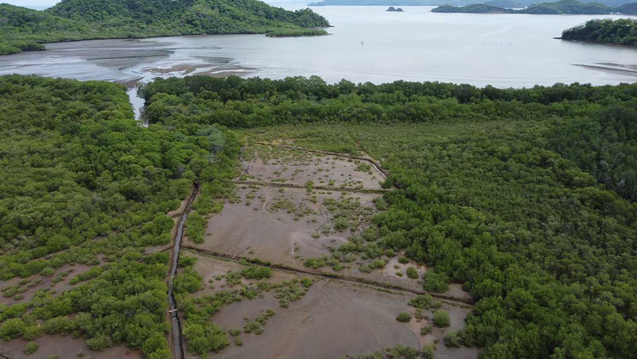 Davivienda recibe premio de GIZ por su compromiso económico en comunidades aledañas a ecosistemas de manglar