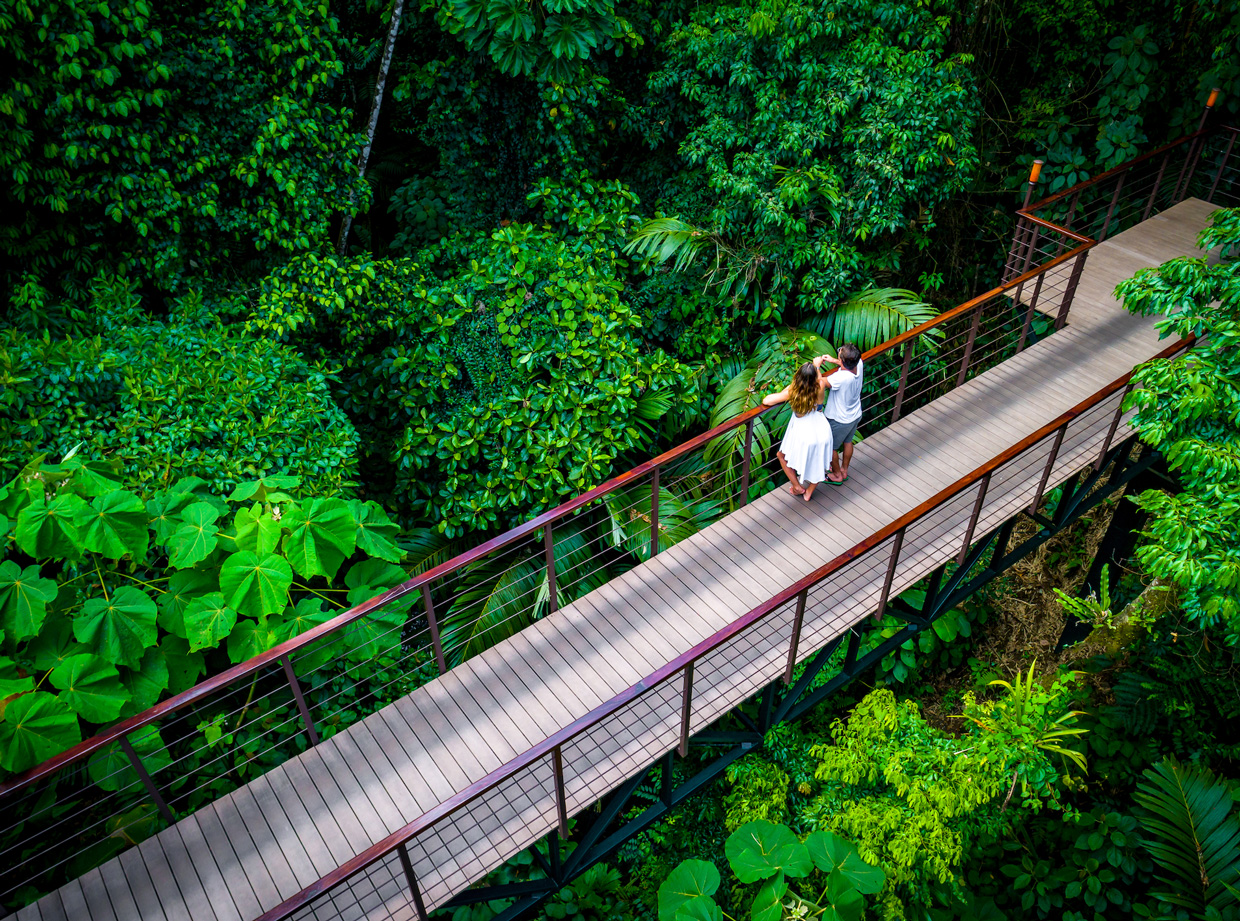 Hoteles costarricenses trabajan por disminuir su huella de carbono y ser carbono neutrales