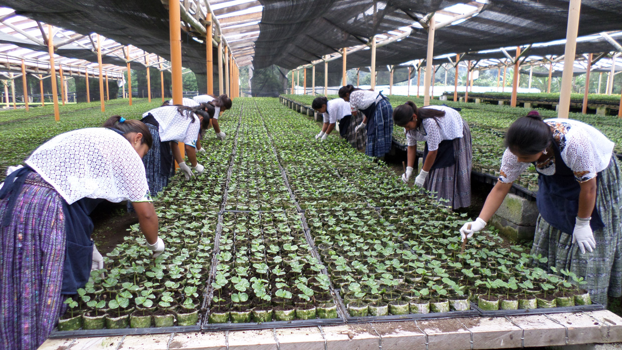 Agroindustria, construcción y turismo podrían impulsar la economía en Centroamérica en 2023