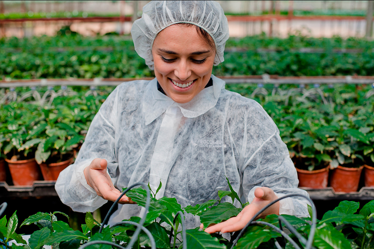 Concurso convoca a Pymes a un desafío de soluciones en tecnologías sostenibles