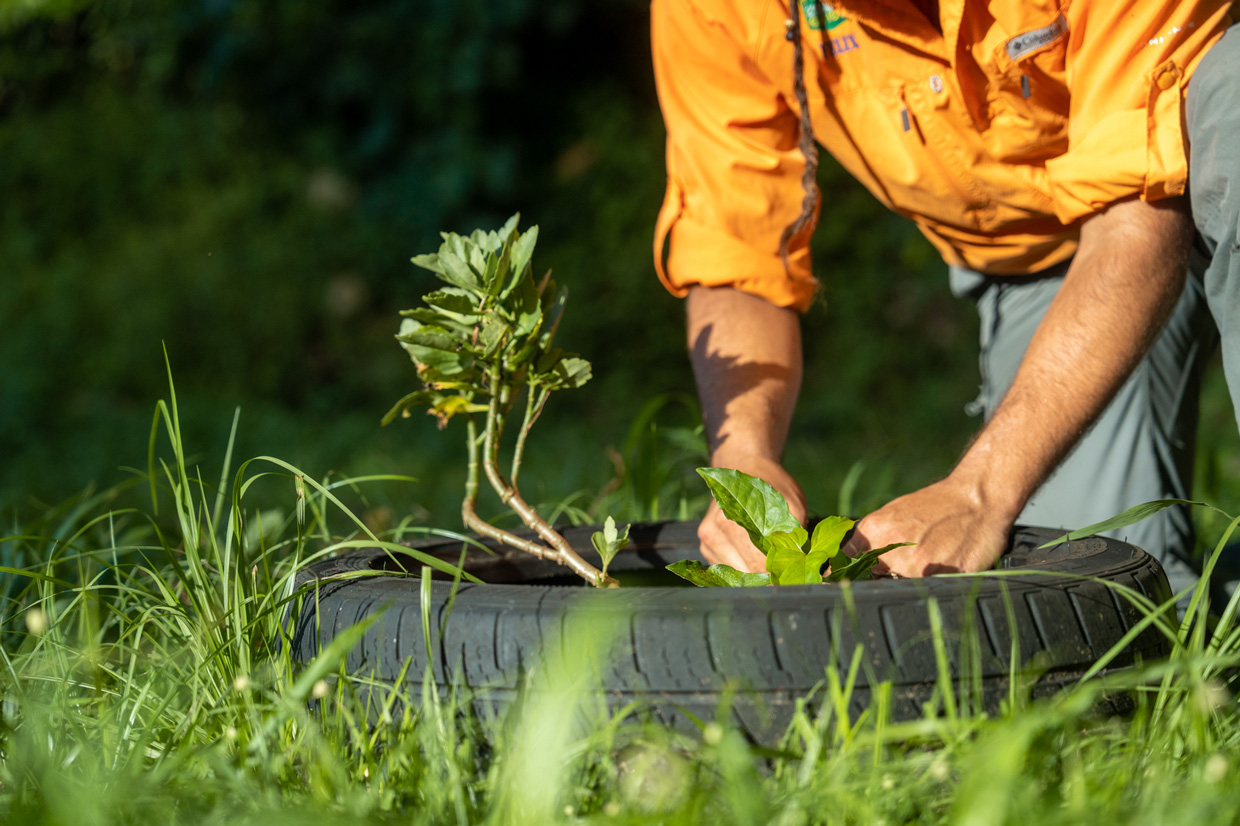 Ford abre convocatoria para su programa Donativos Ambientales Ford 2023
